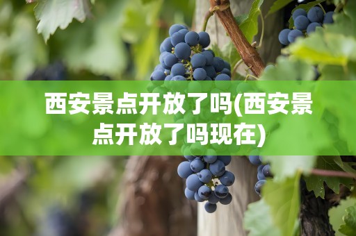 西安景点开放了吗(西安景点开放了吗现在)