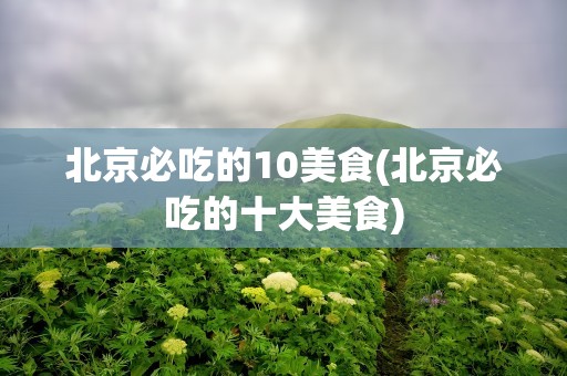 北京必吃的10美食(北京必吃的十大美食)