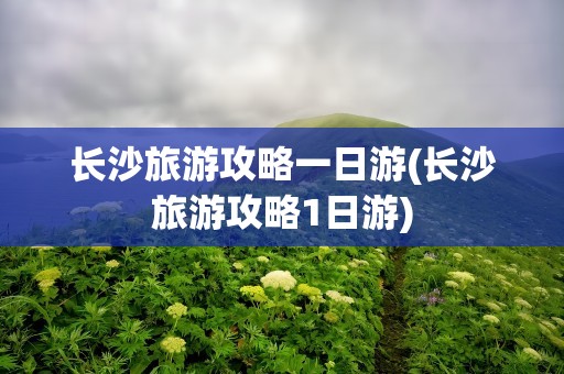 长沙旅游攻略一日游(长沙旅游攻略1日游)