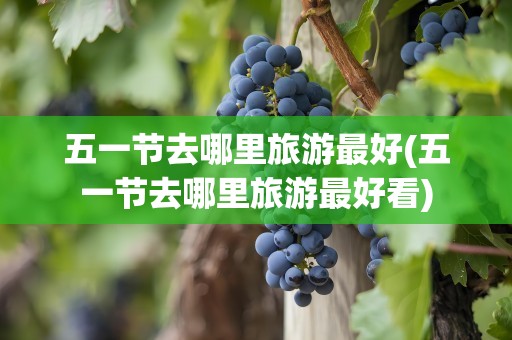 五一节去哪里旅游最好(五一节去哪里旅游最好看)