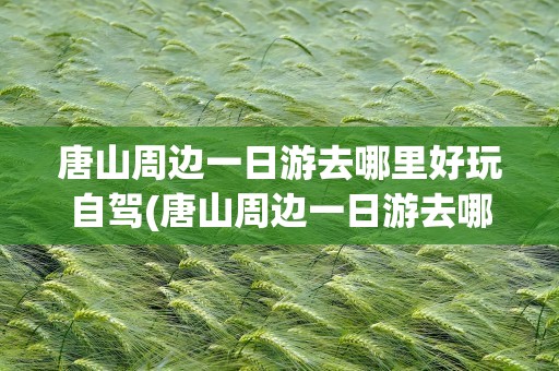 唐山周边一日游去哪里好玩自驾(唐山周边一日游去哪里好玩自驾迁安)