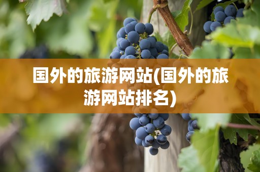 国外的旅游网站(国外的旅游网站排名)