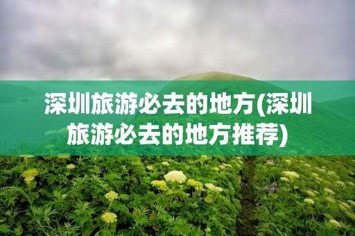 深圳旅游必去的地方(深圳旅游必去的地方推荐)