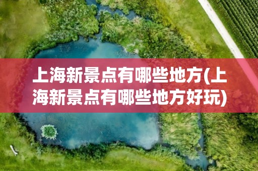 上海新景点有哪些地方(上海新景点有哪些地方好玩)