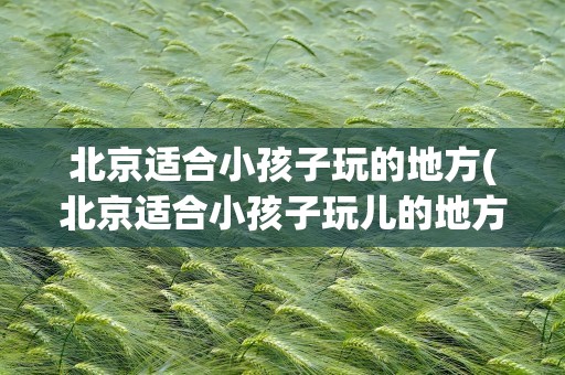 北京适合小孩子玩的地方(北京适合小孩子玩儿的地方)