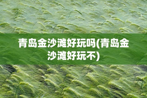 青岛金沙滩好玩吗(青岛金沙滩好玩不)