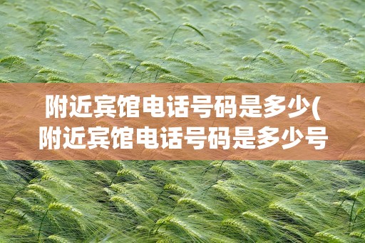 附近宾馆电话号码是多少(附近宾馆电话号码是多少号)