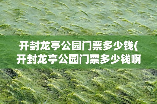 开封龙亭公园门票多少钱(开封龙亭公园门票多少钱啊)