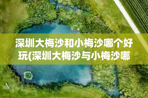 深圳大梅沙和小梅沙哪个好玩(深圳大梅沙与小梅沙哪个好玩)