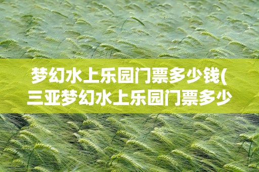 梦幻水上乐园门票多少钱(三亚梦幻水上乐园门票多少钱)