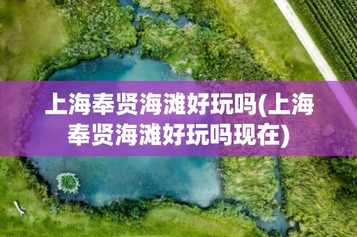 上海奉贤海滩好玩吗(上海奉贤海滩好玩吗现在)