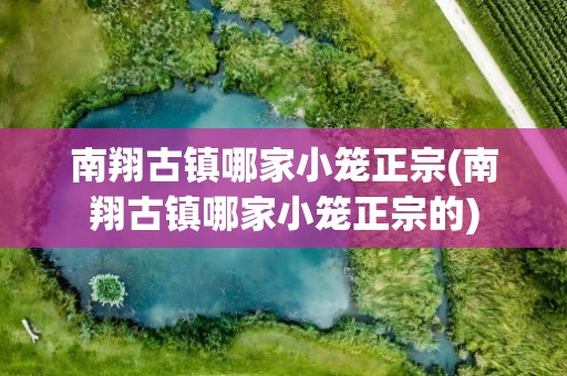 南翔古镇哪家小笼正宗(南翔古镇哪家小笼正宗的)