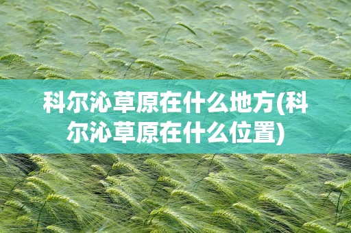 科尔沁草原在什么地方(科尔沁草原在什么位置)