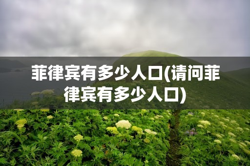 菲律宾有多少人口(请问菲律宾有多少人口)