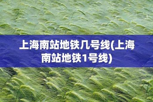 上海南站地铁几号线(上海南站地铁1号线)