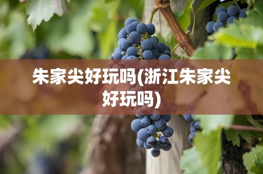 朱家尖好玩吗(浙江朱家尖好玩吗)