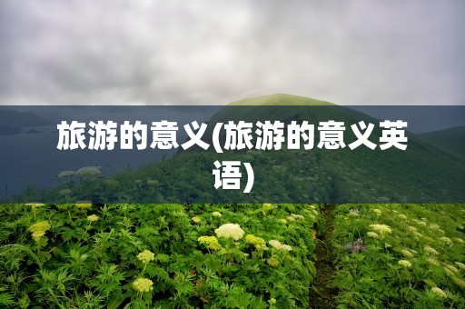 旅游的意义(旅游的意义英语)