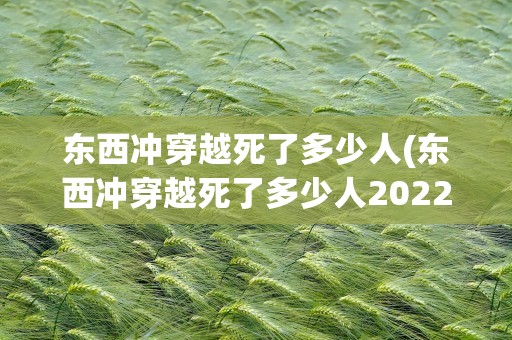 东西冲穿越死了多少人(东西冲穿越死了多少人2022)