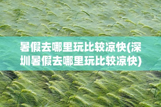 暑假去哪里玩比较凉快(深圳暑假去哪里玩比较凉快)