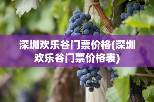 深圳欢乐谷门票价格(深圳欢乐谷门票价格表)