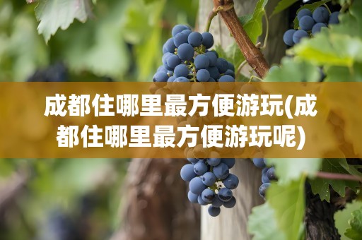 成都住哪里最方便游玩(成都住哪里最方便游玩呢)