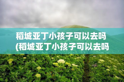 稻城亚丁小孩子可以去吗 (稻城亚丁小孩子可以去吗)