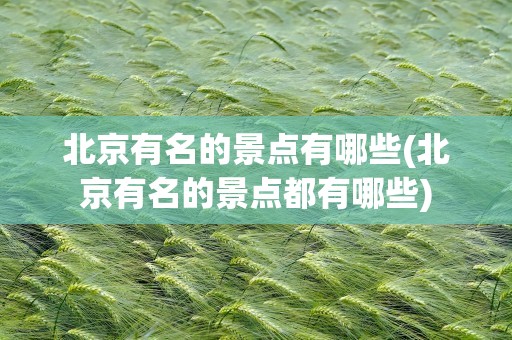 北京有名的景点有哪些(北京有名的景点都有哪些)