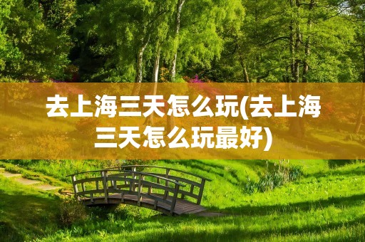 去上海三天怎么玩(去上海三天怎么玩最好)