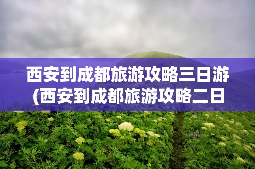 西安到成都旅游攻略三日游(西安到成都旅游攻略二日游)