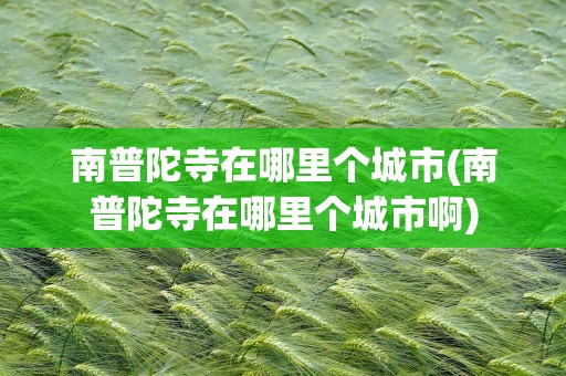 南普陀寺在哪里个城市(南普陀寺在哪里个城市啊)