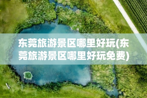 东莞旅游景区哪里好玩(东莞旅游景区哪里好玩免费)