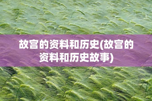 故宫的资料和历史(故宫的资料和历史故事)