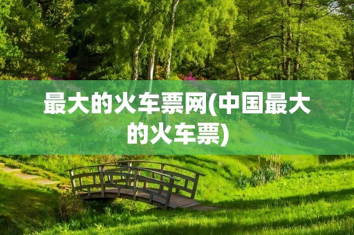 最大的火车票网(中国最大的火车票)