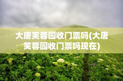 大唐芙蓉园收门票吗(大唐芙蓉园收门票吗现在)