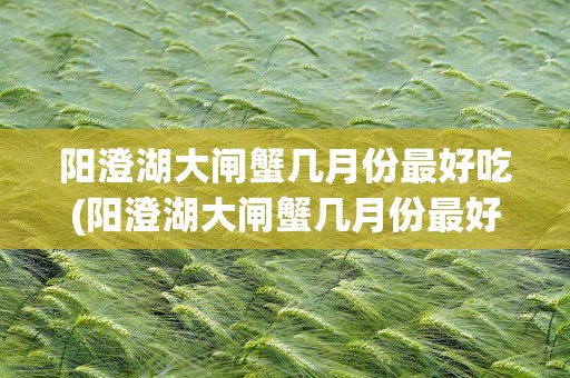 阳澄湖大闸蟹几月份最好吃(阳澄湖大闸蟹几月份最好吃2022)