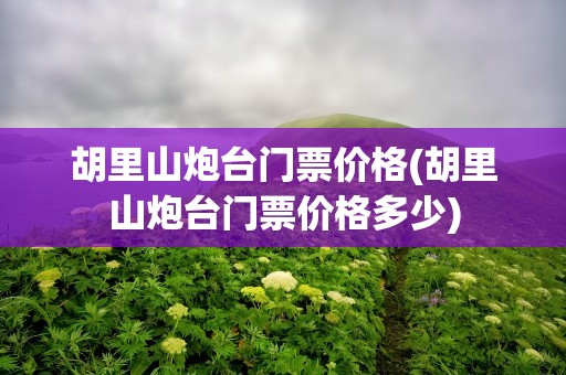 胡里山炮台门票价格(胡里山炮台门票价格多少)