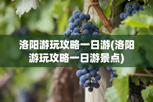 洛阳游玩攻略一日游(洛阳游玩攻略一日游景点)