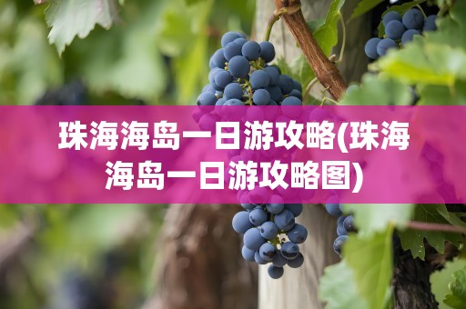 珠海海岛一日游攻略(珠海海岛一日游攻略图)
