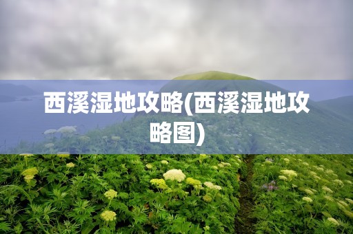 西溪湿地攻略(西溪湿地攻略图)