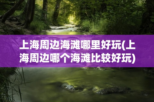 上海周边海滩哪里好玩(上海周边哪个海滩比较好玩)