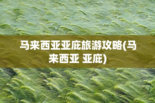 马来西亚亚庇旅游攻略(马来西亚 亚庇)