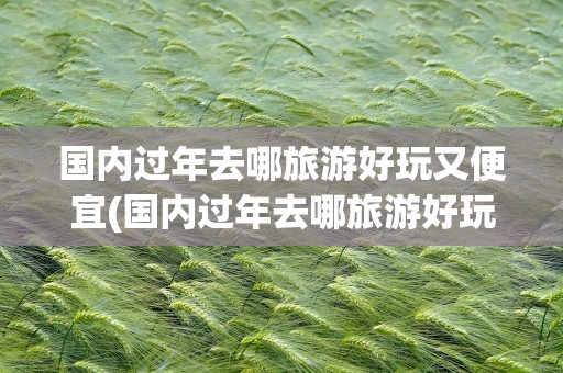 国内过年去哪旅游好玩又便宜(国内过年去哪旅游好玩又便宜的)