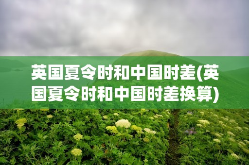 英国夏令时和中国时差(英国夏令时和中国时差换算)