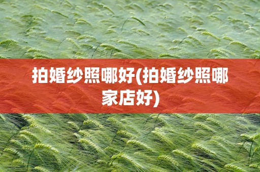 拍婚纱照哪好(拍婚纱照哪家店好)