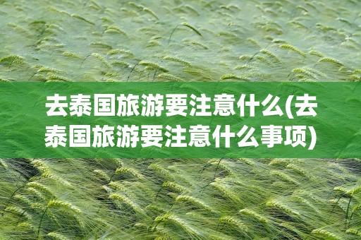 去泰国旅游要注意什么(去泰国旅游要注意什么事项)