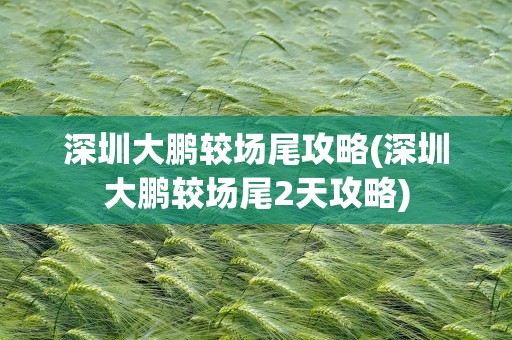 深圳大鹏较场尾攻略(深圳大鹏较场尾2天攻略)