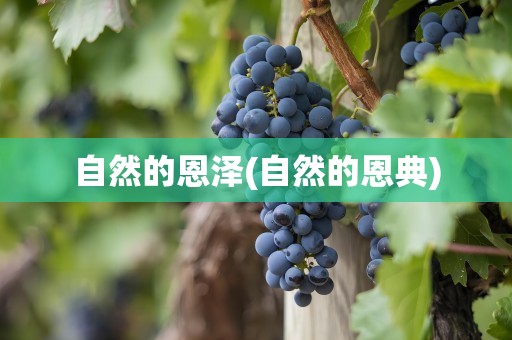 自然的恩泽(自然的恩典)