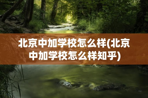 北京中加学校怎么样(北京中加学校怎么样知乎)