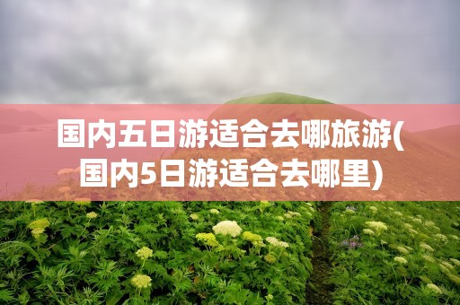 国内五日游适合去哪旅游(国内5日游适合去哪里)