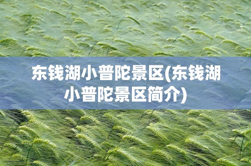 东钱湖小普陀景区(东钱湖小普陀景区简介)